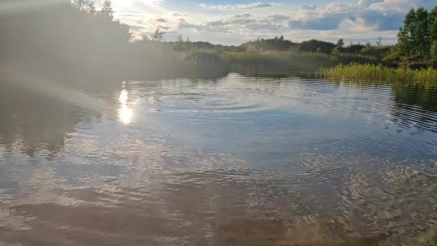 A person is swimming in a lake. The sun is shining, and there are trees and clouds in the background. The water is calm, with ripples on the surface.