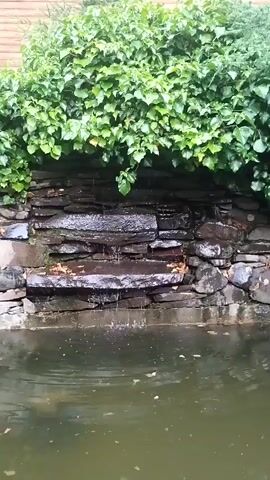 This media file captures a tranquil garden scene. The primary subjects are a small, tiered rock waterfall and a body of water. The waterfall is constructed from flat, dark stones, with water trickling down its levels, creating gentle cascades. Above the waterfall, lush green ivy covers a wall or structure, adding a vibrant natural element to the scene. The water in the foreground is dark and somewhat murky, with a few fallen leaves scattered on its surface, suggesting an outdoor setting and perhaps the autumn season.

The activity taking place is the natural flow of water down the rock feature, creating a soothing, ambient sound and visual. There are no people or animals visible, emphasizing the serene and peaceful nature of the location. The lighting appears to be soft, possibly indicating an overcast day or late afternoon, as there are no harsh shadows. The presence of the ivy and the rock formation suggests a well-maintained garden or park area.

Notable details include the texture of the wet stones, the delicate spray of the falling water, and the rich green of the ivy. The overall mood conveyed is one of calmness and natural beauty. There is no visible text in the media file. The location context provided is Синяк, Ukraine, which aligns with the visual cues of a temperate climate garden.