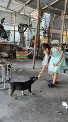 Morning life documented in Vietnamese coastal city