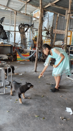 Morning life documented in Vietnamese coastal city