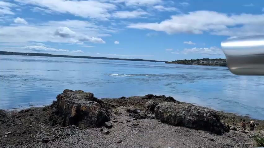 The video shows a wide body of water under a partly cloudy blue sky. The foreground features a rocky shoreline with patches of seaweed and gravel. Two large rocks are prominent in the center foreground. In the distance, across the water, land is visible with trees and houses. The water itself appears to be a deep blue and shows some movement, including a swirling eddy or whirlpool in the middle ground. The overall scene is an outdoor landscape shot, likely a coastal or bay area.