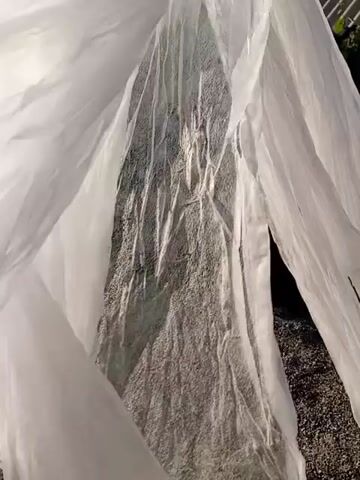 This media file shows a close-up of a white, translucent sheet draped over a dark, textured object. The sheet appears to be a lightweight fabric, possibly a frost cover or a protective tarp. The texture of the object underneath is rough and granular, suggesting it might be a pile of gravel or a plant with a coarse surface. The sheet is rippling and fluttering, indicating the presence of wind.

In the background, a building with a corrugated roof and an open doorway is visible. Lush green foliage, possibly a vine or a bush, is also present to the left of the building. The ground appears to be covered with gravel, and a pile of larger stones is also visible. The lighting suggests it is daytime, with bright sunlight casting shadows. The overall scene appears to be an outdoor setting, likely in a rural or semi-rural area.

The media file is very short, with the camera moving slightly to capture different angles of the draped object and its surroundings. There is no discernible text in the visible frames. The activity appears to be the movement of the sheet due to wind, possibly covering or uncovering something. The context provided, Ust-Dzheguta, Russia, suggests a temperate climate where such protective coverings might be used for plants or building materials.