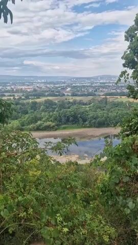 A distant city skyline is visible under a partly cloudy sky. In the foreground, lush green trees and bushes frame a body of water. The water appears shallow with some exposed, sandy banks. The overall scene is a scenic overlook of a river and a town.
