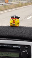 Dashboard view with pirate chick toy in Ashtarak