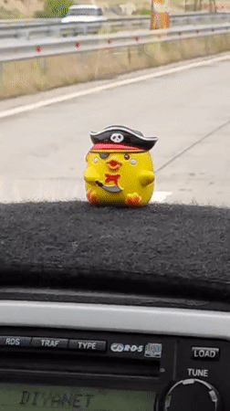 Dashboard view with pirate chick toy in Ashtarak