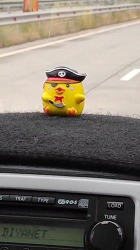 Dashboard view with pirate chick toy in Ashtarak