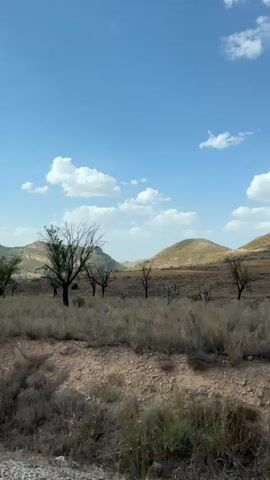 The video shows a moving vehicle's perspective of a dry, hilly landscape under a blue sky with scattered white clouds. Sparse, dry vegetation covers the ground, with several bare trees dotted across the scene. In the distance, rolling hills with rocky surfaces are visible, some with a reddish hue. A metal guardrail runs along the bottom right of the frame. The overall impression is of a vast, arid, and sparsely populated natural environment.