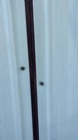 The video begins with a close-up of the exterior of a metal building, showing a seam and two bolts. The camera then pans to the right, revealing an outdoor enclosure with several deer. The deer are mostly brown with white spots, some are standing, others are sitting or lying down. There is a metal feeding trough running through the center of the enclosure. Behind the enclosure is a white building with a fence. A tree is visible in the background to the left. The ground within the enclosure is dirt and sand. The sky is partly cloudy.