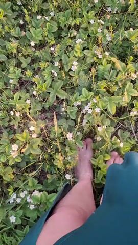 A close-up, low-angle shot depicts a person with bare feet walking through a patch of green vegetation dotted with small white flowers. The camera, presumably held by the person, moves along with their steps, focusing on their feet as they interact with the plants. A portion of the person's attire, a green garment, is visible at the bottom of the frame. The scene takes place outdoors under natural lighting.