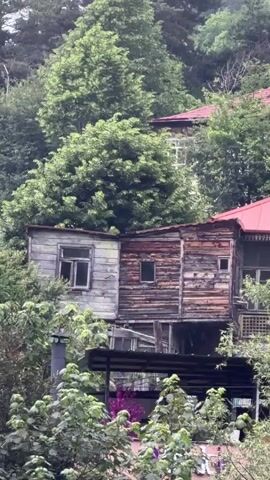 The video captures a rustic, weathered wooden structure nestled amidst lush green foliage on a hillside. The structure appears to be a house or dwelling, with visible windows and a sloped roof, possibly red. The wood shows signs of age and exposure to the elements, contributing to a rustic aesthetic. Dense trees and vegetation surround the building, suggesting a natural, possibly rural or forested environment. The overall impression is one of an old, possibly abandoned or seldom-used building integrated into a verdant landscape.
