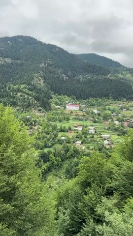 The video shows a high-angle shot of a village nestled in a valley. The valley is surrounded by lush green mountains covered in dense pine forests. Numerous houses with red roofs are scattered throughout the valley, interspersed with green fields. In the foreground, the branches of trees obscure some of the view. The sky is overcast with gray clouds, suggesting a possibly cool or damp day. There are no people or animals visible in the video, and no discernible actions or interactions are taking place. The scene is static and peaceful, capturing a wide view of the rural landscape.