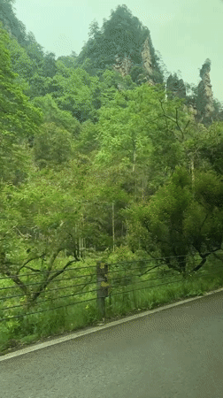 Vehicle travels scenic route through misty Luoguta landscape