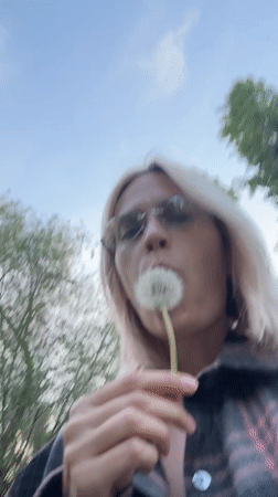 Spring moments captured in Saratov: dandelions, graffiti, blooming roses