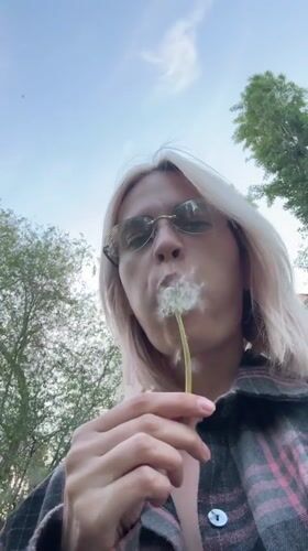 Spring moments captured in Saratov: dandelions, graffiti, blooming roses