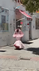 Traditional flamenco scenes captured in sunny Jerez de la Frontera