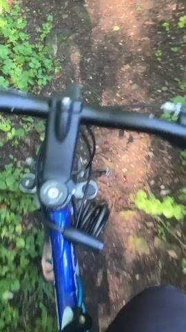 A first-person perspective video shows a person riding a blue bicycle on a dirt path through a wooded area. The handlebars and a portion of the blue bicycle frame are visible in the foreground. The path ahead is covered in dirt and small stones, with green foliage lining both sides. Sunlight filters through the trees, creating dappled shadows on the path. The camera angle is slightly tilted, and the motion of the bicycle creates a blurred effect of the surroundings.