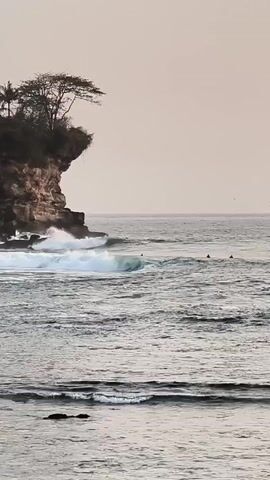The video shows a serene ocean scene with surfers waiting for waves. In the foreground, gentle waves roll towards the shore. A rocky cliff with a lone tree atop it dominates the left side of the frame, with the ocean meeting the rocks at its base. Several surfers are visible in the mid-ground, scattered across the water, patiently anticipating the next set of waves. The sky is a muted, pale color, suggesting either early morning or late afternoon light. The overall impression is one of peaceful activity in a natural coastal setting.