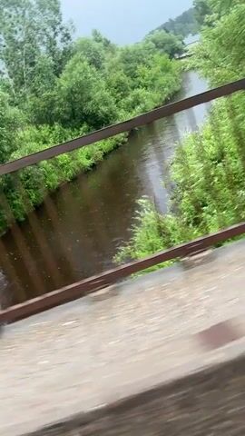The video is a first-person perspective of someone standing on a bridge overlooking a river. The river is brown and appears to be flowing. There is lush green vegetation on both sides of the river, and in the distance, there are some buildings. The sky is overcast. The railing of the bridge is visible in the foreground. The camera is shaky, suggesting the person is moving or the bridge is vibrating.