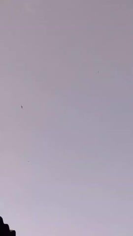 A video captured from a low angle shows a light gray, overcast sky with a few distant birds in flight. The birds are small, dark silhouettes against the sky. The overall lighting suggests it is daytime, likely during the late afternoon or early morning given the soft, diffused light. The environment appears to be outdoors, with no other identifiable objects or people visible in the frame. The camera is steady, with minimal movement.