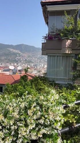 Morning city view captured from elevated position in Alanya