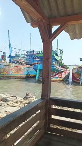 The video shows a view from a wooden structure, possibly a shelter or cafe, looking out at a harbor filled with colorful fishing boats. The boats are docked close together, and many of them are decorated with intricate paintings and designs. The water appears calm, and the sky is clear and blue, suggesting a sunny day. In the foreground, there is a wooden railing, and a motorcycle is parked to the left, partially obscured by the railing and a metal pole. Piles of ropes and fishing nets are visible on the dock. The overall impression is of a bustling fishing port on a bright, clear day.
