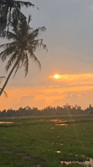 Rural life and tropical landscapes in Baratpayaitek at sunrise