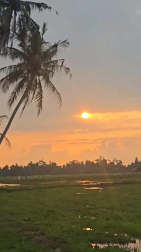 Rural life and tropical landscapes in Baratpayaitek at sunrise