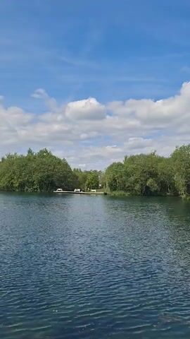 The video displays a serene outdoor scene featuring a body of water under a bright blue sky with scattered white clouds. The water, likely a lake or large pond, has gentle ripples across its surface. Lush green trees line the far bank of the water, extending along the horizon. In the distance, approximately midway across the frame, a small dock or platform extends into the water from the treeline. Several light-colored structures, possibly benches or small shelters, are visible on this platform. The overall impression is one of natural beauty and tranquility, indicative of a pleasant daytime setting. No people or specific activities are clearly visible, and there is no discernible text in the frame.