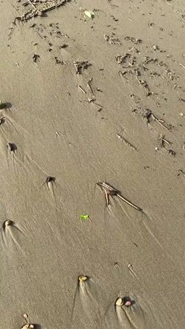 The video shows a close-up, aerial view of a sandy beach. The sand has visible ripples and patterns created by water or wind. Small pieces of debris, such as twigs, leaves, and pebbles, are scattered across the surface. In some areas, small indentations suggest the presence of small stones or shells. The lighting indicates it may be daytime, with some shadows visible. There are no people or animals visible in the video. The scene is static, with no discernible movement apart from what might be a slight breeze disturbing the sand or debris. The overall impression is one of a natural, undisturbed beach environment.