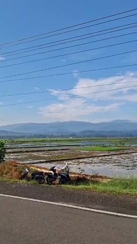 The video pans across a rural landscape under a clear blue sky with scattered white clouds. In the foreground, a paved road runs horizontally across the frame. To the right of the road, there is a patch of green grass and a small tree. Beyond the grass and tree, there are several flooded rice paddies, some of which appear to have been recently planted. In the middle ground, a concrete utility pole with multiple wires stretches upwards. In the background, a range of mountains stretches across the horizon. The video begins with a wider view of the landscape and then zooms in on the utility pole and rice paddies.