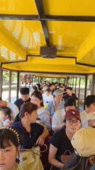 Wildlife encounters delight tourists on train ride in China