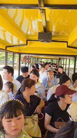 Wildlife encounters delight tourists on train ride in China