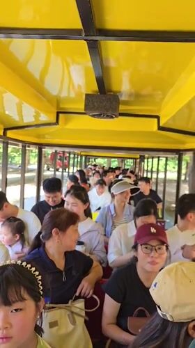 Wildlife encounters delight tourists on train ride in China
