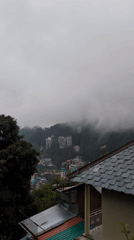 Foggy morning scenes documented in Haini, India hillside community