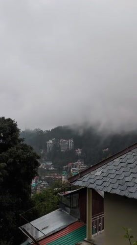 Foggy morning scenes documented in Haini, India hillside community