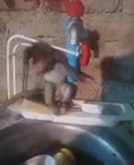Pet macaque monkey plays with kitchen items in Thailand