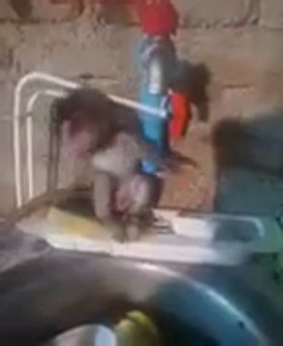 Pet macaque monkey plays with kitchen items in Thailand