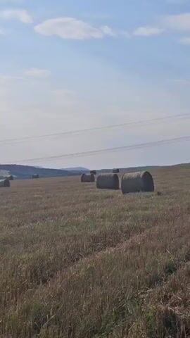 The video shows a wide-angle view of a rural landscape on a clear day. The foreground is a field of dry, tan grass and stubble. In the middle ground, several large, round hay bales are scattered across the field. In the background, rolling hills covered in trees form a distant horizon. The sky is blue with scattered white clouds. Power lines are visible stretching across the sky in the mid-distance. The camera pans slowly to the left.