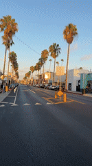 Quiet palm-lined street in Los Angeles with passing traffic