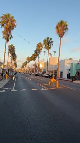 Quiet palm-lined street in Los Angeles with passing traffic