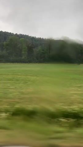 The video captures a motion-blurred view of a grassy field with a forest and hills in the background. The sky is overcast and grey. The blur suggests the footage was taken from a moving vehicle. The overall impression is one of a rural landscape on a cloudy day.