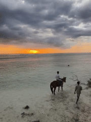 Horseback rider spotted in shallow waters during Indonesian sunset