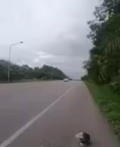 The video shows a view from the side of a road, with a white car passing on the road. The road is lined with trees on both sides and a light pole is visible on the left. The sky is overcast and appears to be raining. A helmet is resting on the ground near the camera.