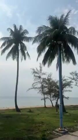 The video shows a beach scene from a moving vehicle. The camera pans across the beach, showing palm trees, other smaller trees, a sandy beach, and the ocean. The sky is partially cloudy, and the scene appears to be taken during the day. The video moves quickly past the landscape.