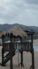 Strong winds hit Montenegro coast, palm trees down