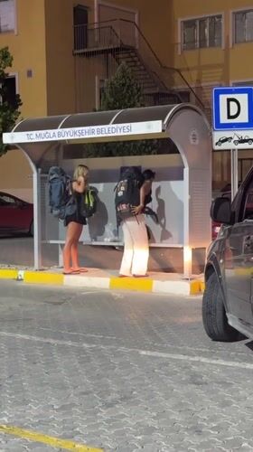 Bus stop wait and a sleeping dog in Fethiye