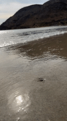 Evening waves roll onto Juan Griego beach under cloudy skies