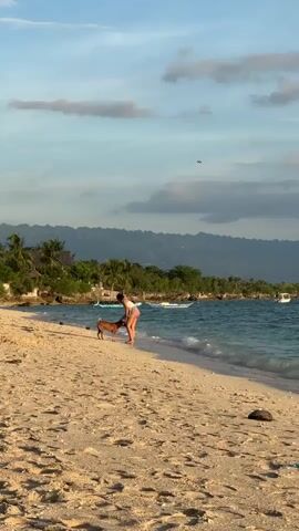 A woman wearing a white top and pink bottoms is bending down to pet a brown dog on a sandy beach. The dog is facing the woman. The ocean is to the right of the woman and dog, with waves gently rolling onto the shore. In the background, there is a lush green coastline with palm trees and mountains. The sky is a soft blue with scattered clouds. A small plane is visible in the distance. The sand is light brown and has footprints.