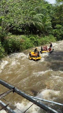 The video shows two inflatable rafts navigating a river with moderate rapids. The rafts, one yellow and one gray, each carry several people wearing helmets and life jackets. The river is surrounded by lush green vegetation. The viewpoint is from a structure resembling a bridge, with metal railings visible in the foreground. The river water is a muddy brown color. The people in the rafts appear to be paddling and maneuvering through the rapids. The overall impression is one of an adventure activity in a natural setting.