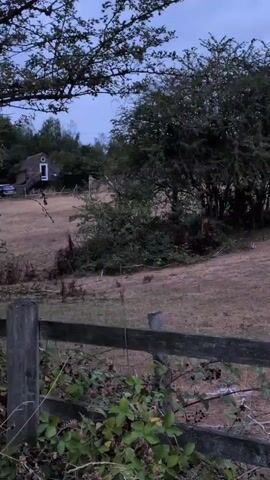 The video shows a rural landscape scene. In the foreground, there is a wooden fence with some green plants growing over it. Behind the fence, a grassy field is visible, with a small rabbit hopping across it from left to right. In the background, there are trees and a small building with a white door and window. The sky is overcast, suggesting it is either dawn or dusk. The overall impression is one of tranquility and nature.